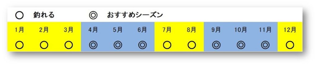 アオリイカ釣りにお勧めのシーズン